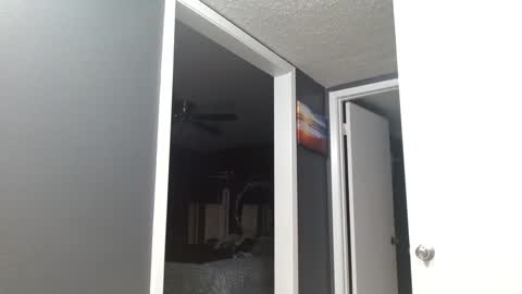 Alanna Rack online show from March 16, 1:15 pm