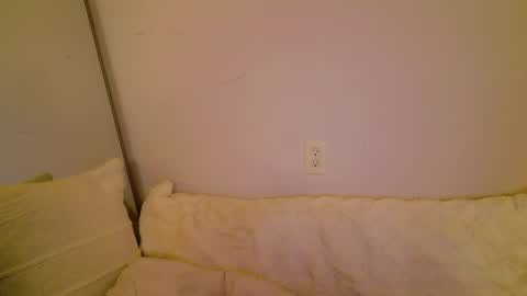 meow online show from November 8, 5:34 am