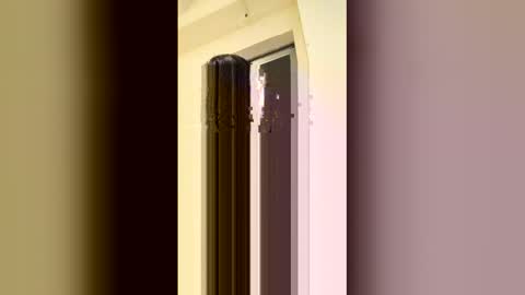 arilavish online show from April 11, 5:35 am