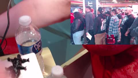 SweetAshCheeks online show from January 19, 4:08 am