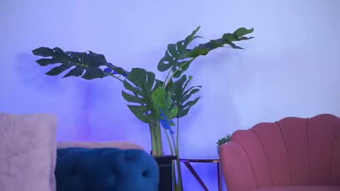 Ashley online show from March 23, 10:10 am