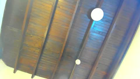 babylattin online show from February 10, 3:20 am