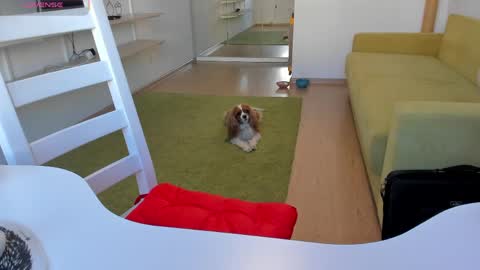 Kira online show from March 20, 12:21 pm