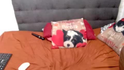 blackbootyx5 online show from February 19, 3:28 am