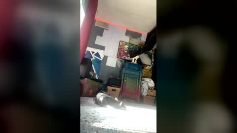 CassCassidy89 online show from March 10, 9:41 pm