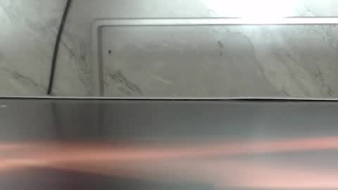 hass online show from January 31, 7:11 pm