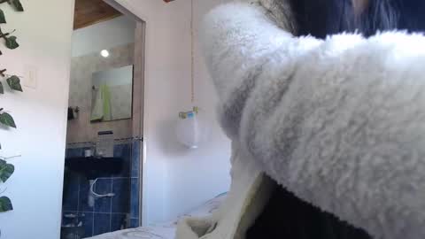 Adris online show from February 28, 9:12 pm