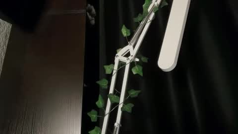 ivyvibe online show from February 8, 3:38 pm