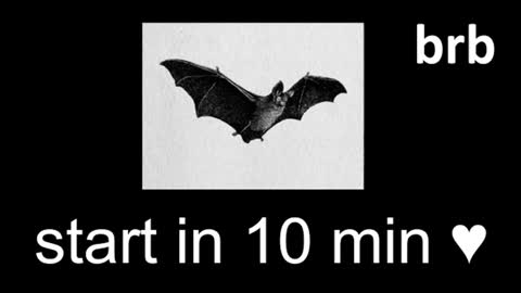 meow online show from July 15, 12:43 pm