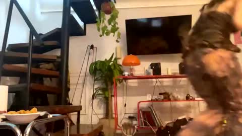 l0llych3rry online show from April 7, 2:02 am