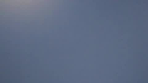 lillie_berry online show from April 11, 8:18 am