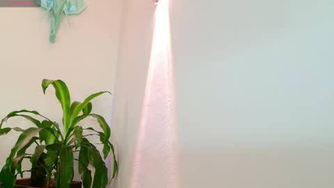 Mandy Val online show from March 25, 8:34 pm