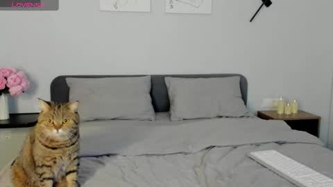 Emily online show from February 20, 6:37 am