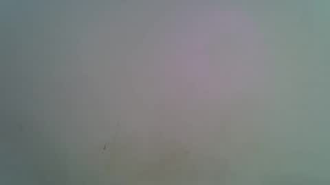 miss_rihanna2 online show from February 8, 7:34 am