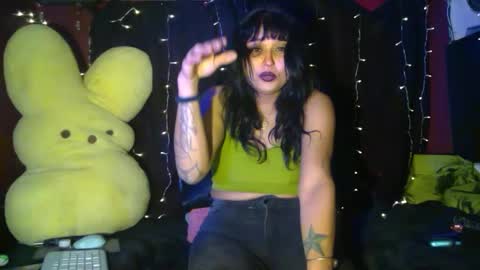 choont-berry delux669 online show from February 7, 7:40 am