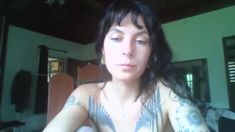 pixiecatfairy online show from November 11, 6:20 am