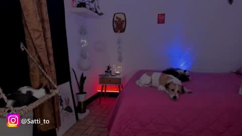 im Jessi  Independet Model  online show from February 26, 4:08 am