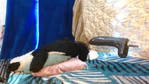 Katty badbitch online show from April 4, 8:18 pm