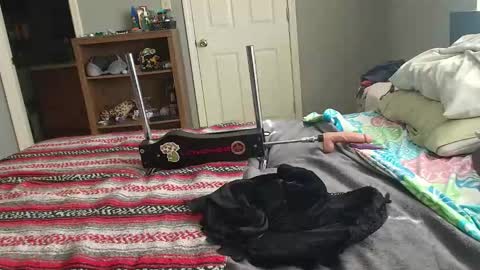 witchbitchmommy online show from March 21, 3:17 pm