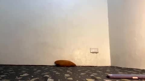 fin online show from April 21, 6:09 am