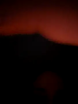 AllyTell online show from January 9, 7:24 am