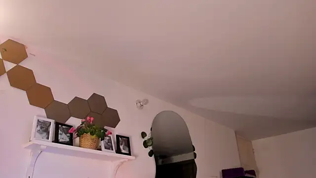 evy orange1 online show from March 13, 3:41 am