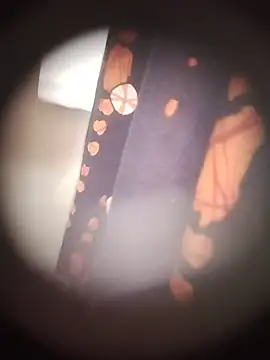 Puja-bhabhi01 online show from June 9, 1:49 am