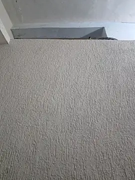 Priya Strip online show from March 28, 8:30 pm