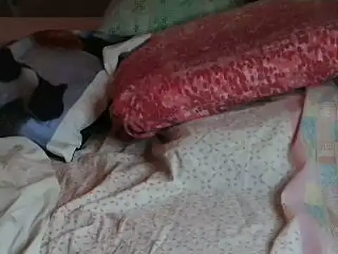 VeneRed online show from April 6, 6:20 pm