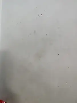 Sania-Love online show from December 18, 11:53 pm