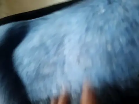 Gisell torres1 online show from February 18, 6:51 pm