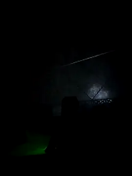 lis2025 online show from March 14, 5:52 am