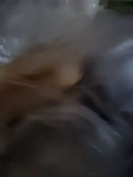 daisylouis online show from March 23, 12:39 am