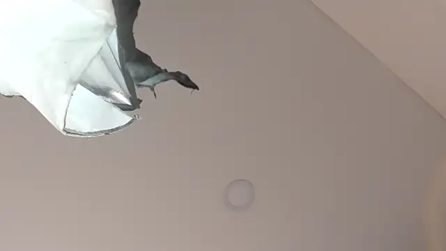 sweet  vanessa1 online show from March 9, 7:39 pm