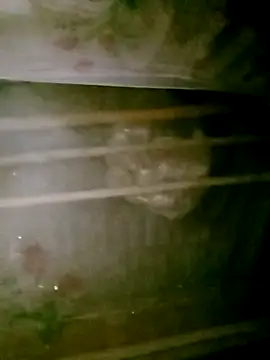 CoMay003 online show from April 17, 10:01 pm