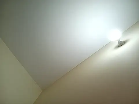 Softecho-03 online show from March 18, 8:14 pm