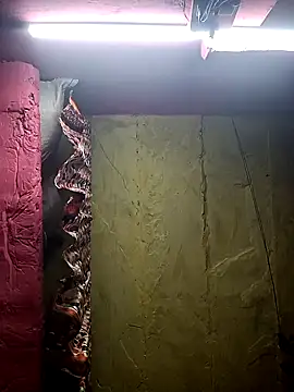 Suman ji1 online show from February 11, 2:51 pm