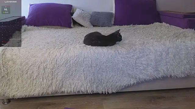 Gentle Ariel online show from April 13, 8:04 am