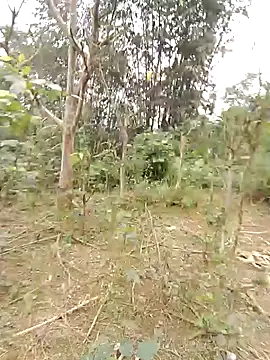 Biu xx online show from February 6, 3:21 am