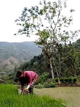 Noelle-e online show from April 11, 10:41 am