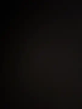 WildNour online show from April 7, 12:51 pm