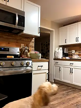 winestaindlips online show from November 29, 2:48 am