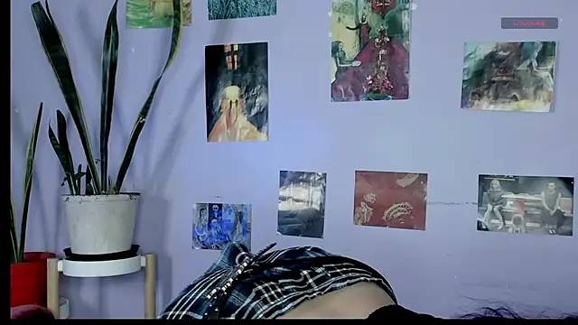 blueberry       online show from August 9, 6:29 am