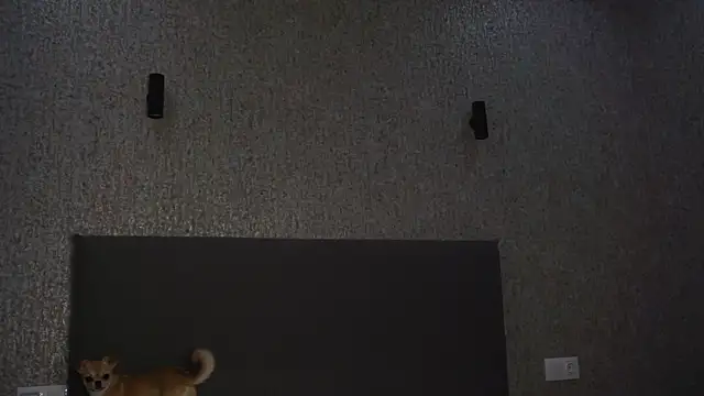 linclars online show from April 18, 1:35 pm