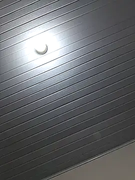 dansafadinhay599 online show from February 19, 10:19 pm