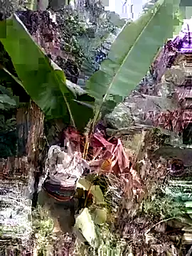 Miu baby01 online show from March 12, 7:22 am