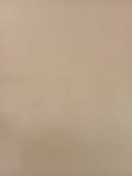 shanicollete online show from January 17, 5:37 am