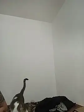 AlexxaAndRileyy online show from March 21, 4:23 pm