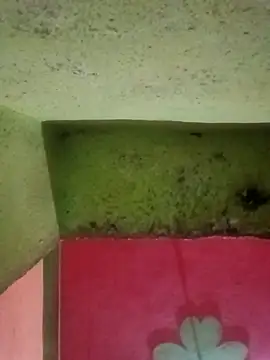 Riyakumari hot66 online show from April 8, 3:36 pm