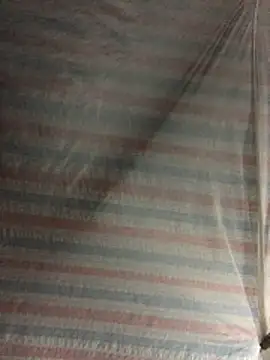 TieuVy99 online show from April 3, 2:48 pm